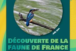 Découverte de la faune de France