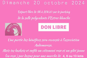 Marche solidaire Octobre rose