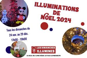 Illuminations Noël 2024