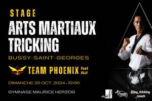 photo stage d'arts martiaux tricking - Bussy-St-Georges