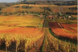 RANDONNEE PEDESTRE ENTRE MONTS ET VIGNES