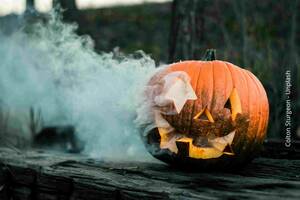 photo ATELIER NATURE ENFANTS « Sorcières des Bois et autres monstres gentils »