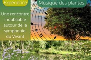 La musique des plantes au coeur de la Vallée de Courtineau