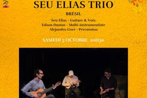 Seu Elias trio - Musique Brésilienne