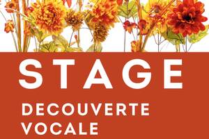 STAGE DECOUVERTE VOCALE