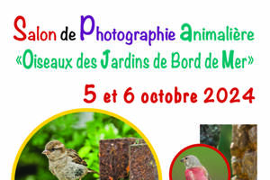 Salon de photographie animalière 