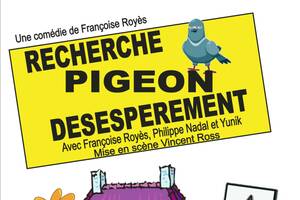 photo Recherche pigeon désespérément