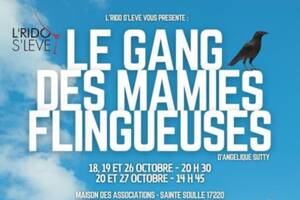 photo THÉÂTRE LE GANG DES MAMIES FLINGUEUSES