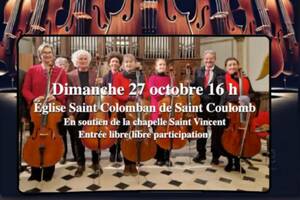 Concert ensemble viloncelle Cellimaine