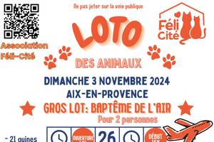 photo Grand loto des animaux