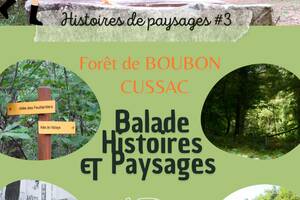 Histoires de paysages, forêt de Boubon, Cussac