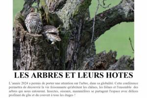 photo Les arbres et leurs hôtes