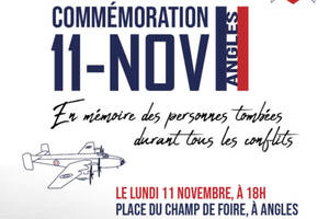 Commémoration spéciale du 11 novembre en nocturne