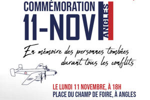 Commémoration spéciale du 11 novembre en nocturne