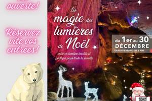 La Magie des Lumières de Noël sous terre