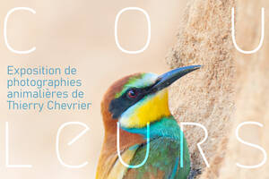 photo Couleurs sauvages