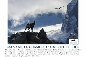 Sauvage, le chamois, l'aigle et le loup