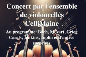 Concert violoncelle avec Cellimaine