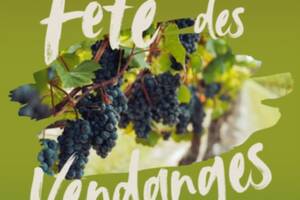 photo Fête des Vendanges au Domaine de Treille