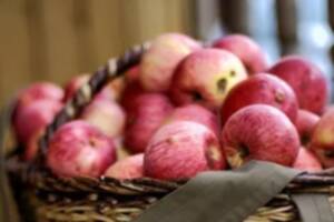 Fête de la pomme et du boudin