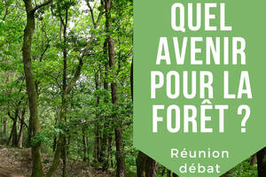 Quel avenir pour la forêt ?