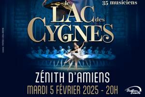 Le Lac des Cygnes, International Festival Ballet