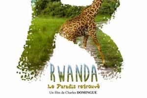 Rwanda, le paradis retrouvé