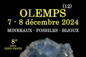 8e SALON MINERAUX FOSSILES BIJOUX de OLEMPS (Aveyron)