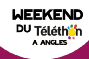 Téléthon à Angles