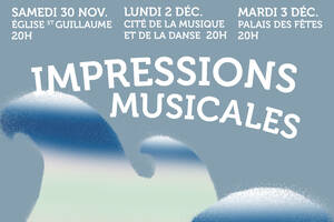 Concert symphonique - Impressions musicales #1