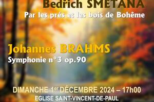 Concert Smetana Brahms