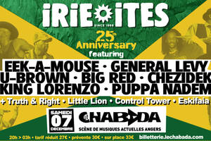 Irie Ites 25th Anniversary