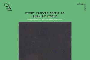 every flower seems to burn by itself