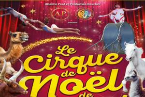 cirque de Noël de Quimper