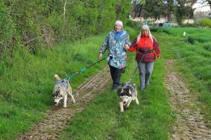 Balade canine active (cani-randonnée)