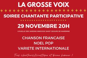 photo Soirée chantante participative - La grosse voix