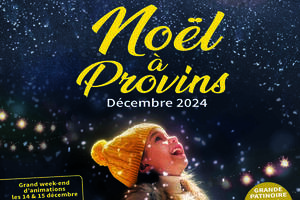 Noël à Provins