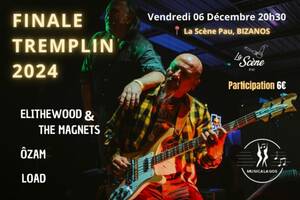 photo CONCERT FINALE TREMPLIN MUSICALAGOS A LA SCENE PAU