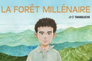 BD CONCERT : LA FORET MILLENAIRE