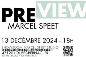 photo PREVIEW - Exposition d’art contemporain par Marcel Speet Studio