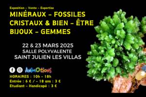 Salon Minéraux Fossiles Cristaux & Bien-Être Bijoux et Gemmes de Troyes