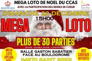 photo MEGA LOTO DE NOEL