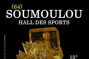 15e SALON MINERAUX FOSSILES BIJOUX de SOUMOULOU (Pyrénées-atlantiques)