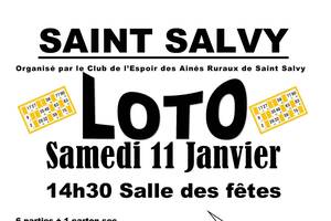 LOTO AINES RURAUX SAINT SALVYV