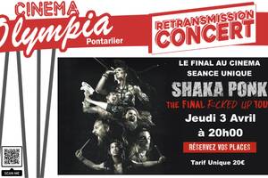 photo Shaka Ponk - Retransmission Concert d Adieu