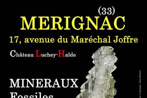 8e SALON MINERAUX FOSSILES BIJOUX de MERIGNAC (Gironde)