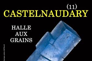 4e SALON MINERAUX FOSSILES BIJOUX de CASTELNAUDARY (Aude)