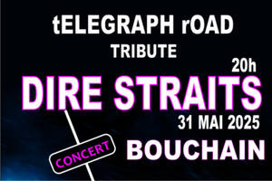 photo tELEGRAPH rOAD tribute Dire Straits le Son et la Voix de Mark KNOPFLER !