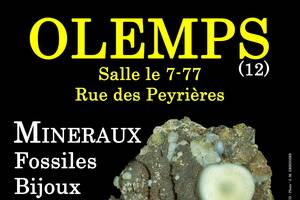 photo 9e SALON MINERAUX FOSSILES BIJOUX de OLEMPS (Aveyron)