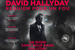 photo DAVID HALLYDAY  REQUIEM POUR UN FOU